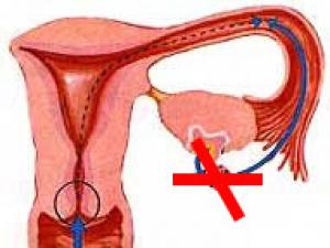 Anovulation - menstruacione pa ovulim